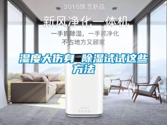 企业新闻湿度大伤身 除湿试试这些方法