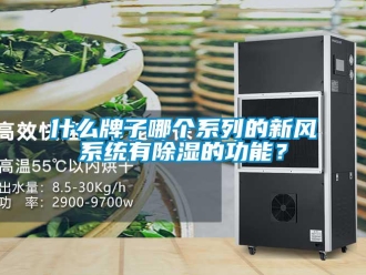 行业新闻什么牌子哪个系列的新风系统有除湿的功能？