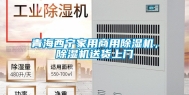 青海西宁家用商用除湿机，除湿机送货上门