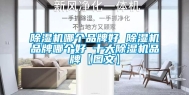 除湿机哪个品牌好 除湿机品牌哪个好 十大除湿机品牌【图文】