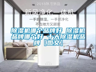 企业新闻除湿机哪个品牌好 除湿机品牌哪个好 十大除湿机品牌【图文】
