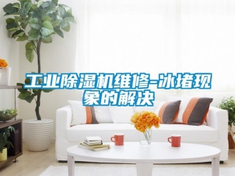 企业新闻工业除湿机维修-冰堵现象的解决