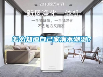 常见问题怎么知道自己家潮不潮湿？