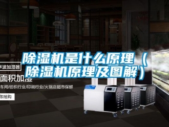 行业新闻除湿机是什么原理（除湿机原理及图解）