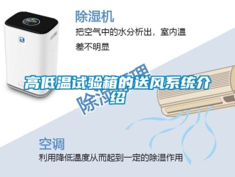 常见问题高低温试验箱的送风系统介绍