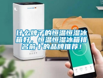 知识百科什么牌子的恒温恒湿冰箱好，恒温恒湿冰箱排名前十的品牌推荐！