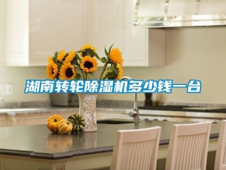 常见问题湖南转轮除湿机多少钱一台