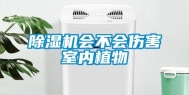 除湿机会不会伤害室内植物