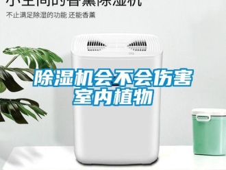 常见问题除湿机会不会伤害室内植物