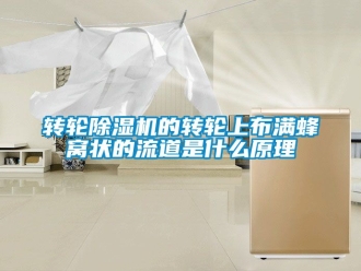 常见问题转轮除湿机的转轮上布满蜂窝状的流道是什么原理