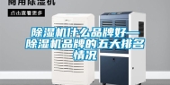 除湿机什么品牌好—除湿机品牌的五大排名情况