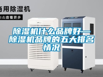 企业新闻除湿机什么品牌好—除湿机品牌的五大排名情况