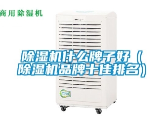 企业新闻除湿机什么牌子好（除湿机品牌十佳排名）