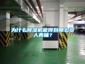 知识百科为什么除湿机能得到那么多人青睐？