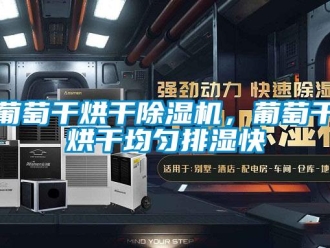 行业新闻葡萄干烘干除湿机，葡萄干烘干均匀排湿快