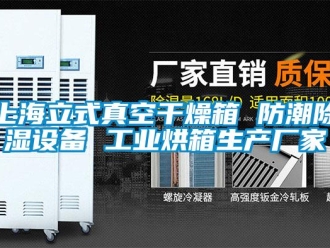 常见问题上海立式真空干燥箱 防潮除湿设备 工业烘箱生产厂家