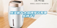 除湿机十大品牌排名有哪些牌子？