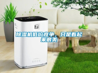 企业新闻除湿机低价竞争，只是看起来很美