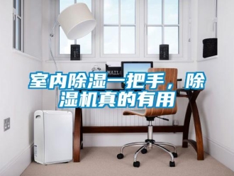 知识百科室内除湿一把手，除湿机真的有用