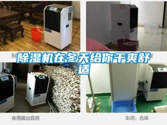 企业新闻除湿机在冬天给你干爽舒适