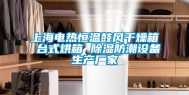 上海电热恒温鼓风干燥箱 台式烘箱 除湿防潮设备生产厂家