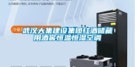 武汉大集建设集团红酒储藏用酒窖恒温恒湿空调