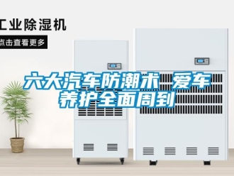 常见问题六大汽车防潮术 爱车养护全面周到