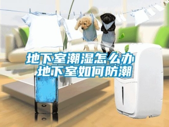 企业新闻地下室潮湿怎么办 地下室如何防潮