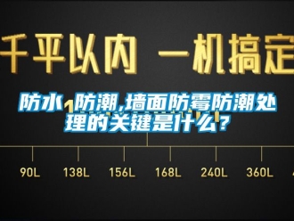 常见问题防水≠防潮,墙面防霉防潮处理的关键是什么？