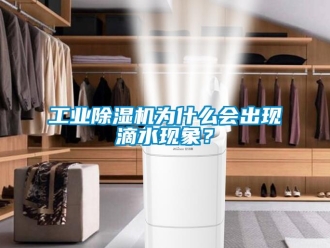 企业新闻工业除湿机为什么会出现滴水现象？