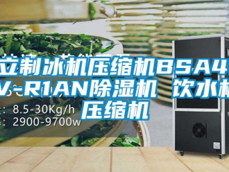 行业新闻海立制冰机压缩机BSA418CV-R1AN除湿机 饮水机 压缩机