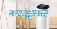 KJ-8138C 九江除湿机生产厂家，九江工业除湿机总代理