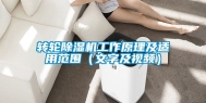 转轮除湿机工作原理及适用范围（文字及视频）