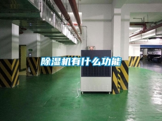 企业新闻除湿机有什么功能