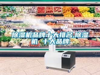 企业新闻除湿机品牌十大排名,除湿机 十大品牌