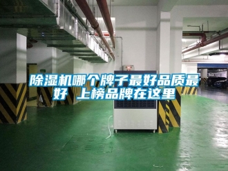 企业新闻除湿机哪个牌子最好品质最好 上榜品牌在这里