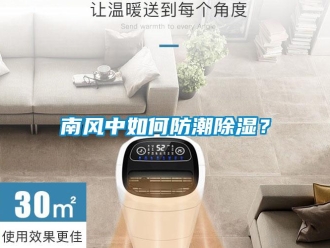 常见问题南风中如何防潮除湿？