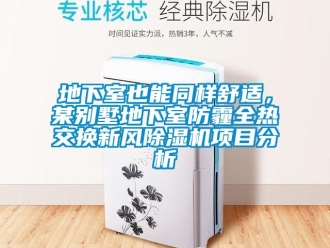 常见问题地下室也能同样舒适，某别墅地下室防霾全热交换新风除湿机项目分析