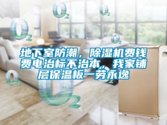 行业新闻地下室防潮，除湿机费钱费电治标不治本，我家铺层保温板一劳永逸