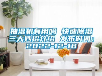 企业新闻抽湿机有用吗 快速除湿三大妙招介绍 发布时间：2022-12-18