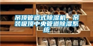 吊顶管道式除湿机，吊装吸顶中央管道除湿系统