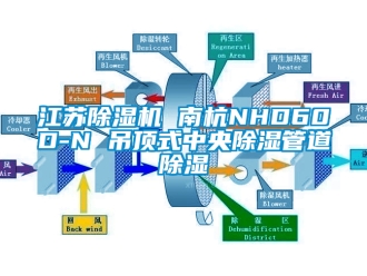 行业新闻江苏除湿机 南杭NHD60D-N 吊顶式中央除湿管道除湿