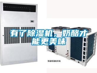 知识百科有了除湿机，奶酪才能更美味