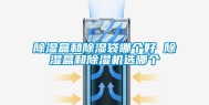 除湿盒和除湿袋哪个好 除湿盒和除湿机选哪个