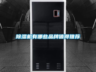 企业新闻除湿机有哪些品牌值得推荐