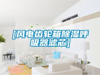 企业新闻[风电齿轮箱除湿呼吸器滤芯]