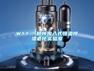 常见问题WTT  郑州步入式恒温恒湿老化实验室