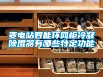 企业新闻变电站智能环网柜冷凝除湿器有哪些特定功能