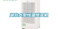 湖北大型恒温恒湿机