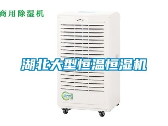知识百科湖北大型恒温恒湿机